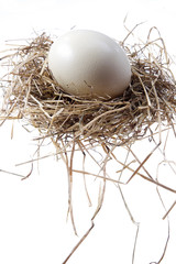 uovo di pasqua