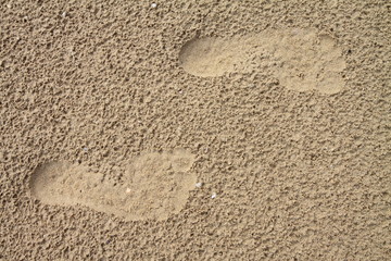 Fototapeta na wymiar Foot on the sand.
