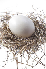 uovo di pasqua