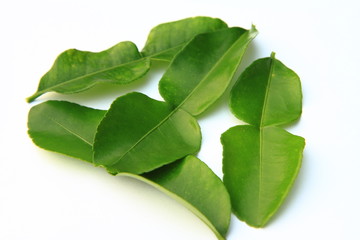 Kaffir lime leaves.