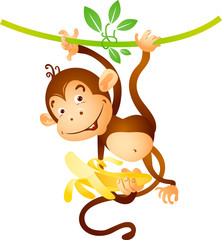 Monkey on liana