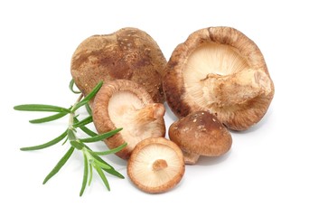 Shiitake, Rosmarin