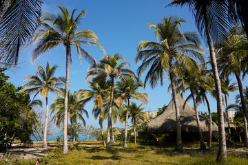 Fototapeta na wymiar The Rosario Islands. Caribbean coral reef. Colombia