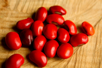 common bean