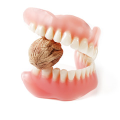 Prosthetic bridge with new strong teeth biting hard nut