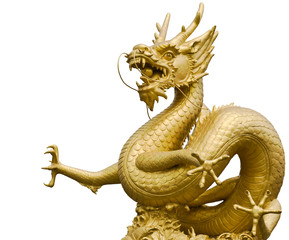 Fototapeta premium The great sea dragon of Indian ocean