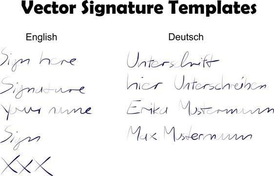 Vector Signature Templates
