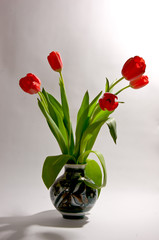 Red tulips in ceramic bowl