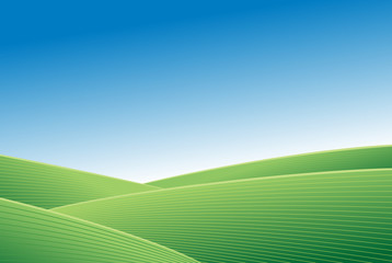 Obraz premium Green field and blue sky