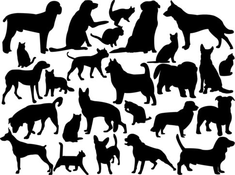 dogs and cats silhouette collection - vector