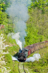 steam freight train, Durdevik, Bosnia and Hercegovina