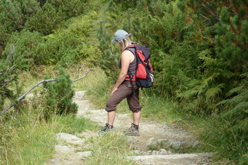 Rast im Riesengebirge