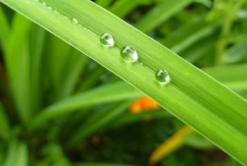 Wassertropfen © Michael Rogner