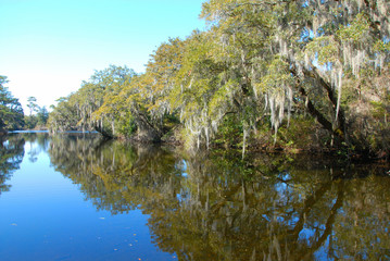 Reflections on the pond