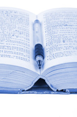Dictionary and pen