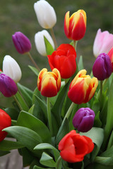 Tulpenstrauß14