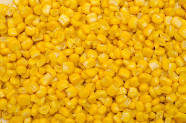 sweet corn background