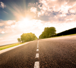Asphalt road in green sunset meadow