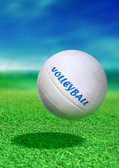volleyball on green ground