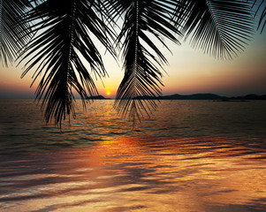 Fototapeta premium Tropical beach