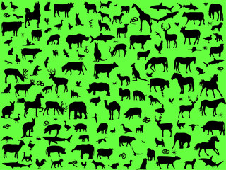 Big collection of different animals silhouettes - vector