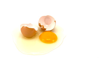 broken egg