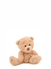 teddybär hellbraun - hochformat