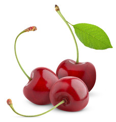 Isolated cherries. Three sweet cherry fruits with leaf isolated on white background