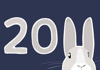 rabbit new year 2011