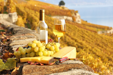 White wine and grapes