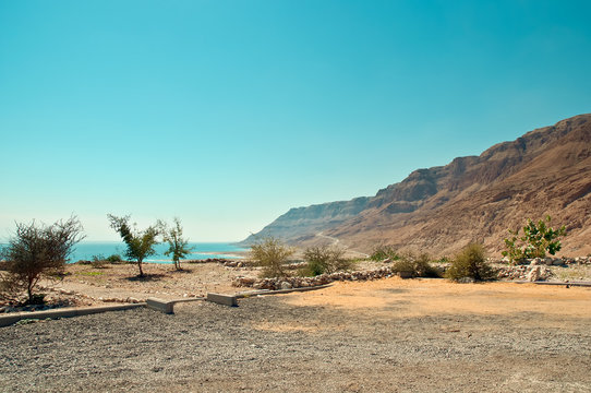 Dead Sea .