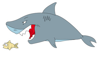Shark and fish