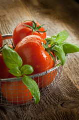 tomatoes and basil on wood background
