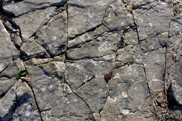 stone surface