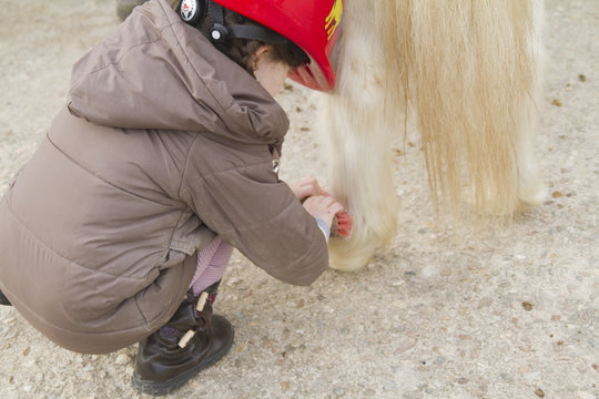 brosser son cheval
