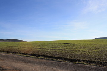 camino y prado