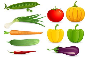 Set of Vegetables