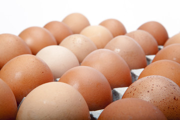 Eggs on white background