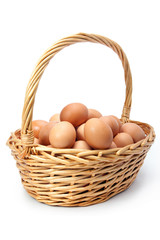Eggs in basket on white background