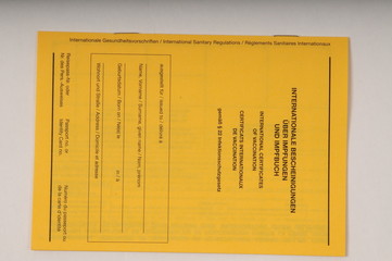 Impfbuch Impfausweis Impfpass