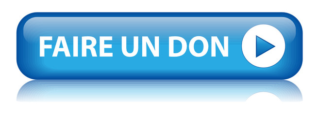 Bouton Web "FAIRE UN DON" (contribution donner de l'argent)