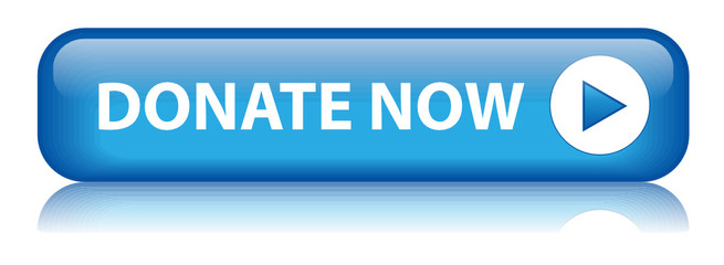 "DONATE NOW" Web Button (donation give charity money contribute)