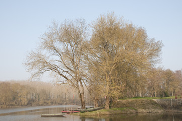 Obraz premium Ilot entre le barrage et l'écluse - Montreuil-Juigné (France)