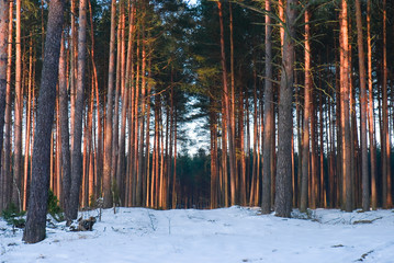 Winter time in the poland