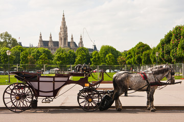 Wiener Rathaus, Rathaus Vienna