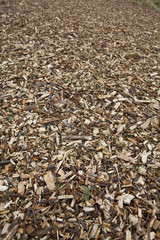 Wood chippings