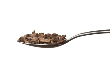 Fennel seeds in a spoon isolated on white
