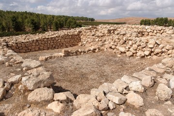 Excavations of the ancient temple