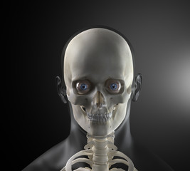 Male Human Head X-ray Front view