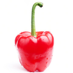 red paprika on white background